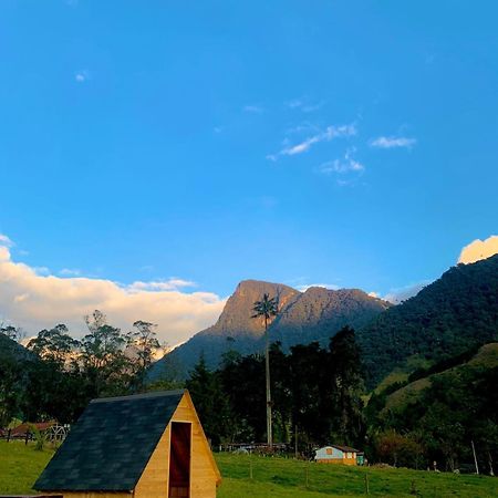 Refugio Nidos Del Condor Cocora Salento Kültér fotó