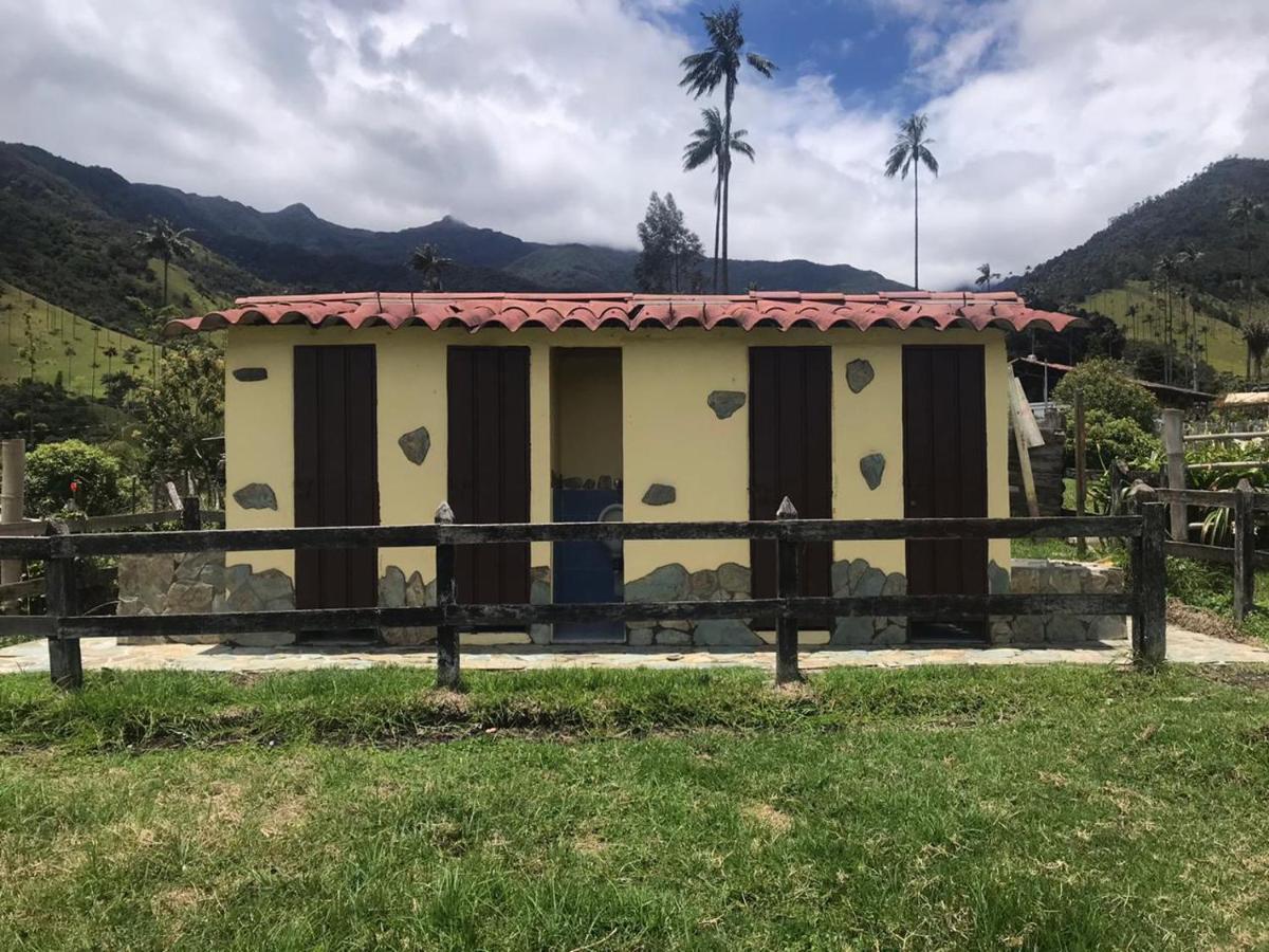 Refugio Nidos Del Condor Cocora Salento Kültér fotó