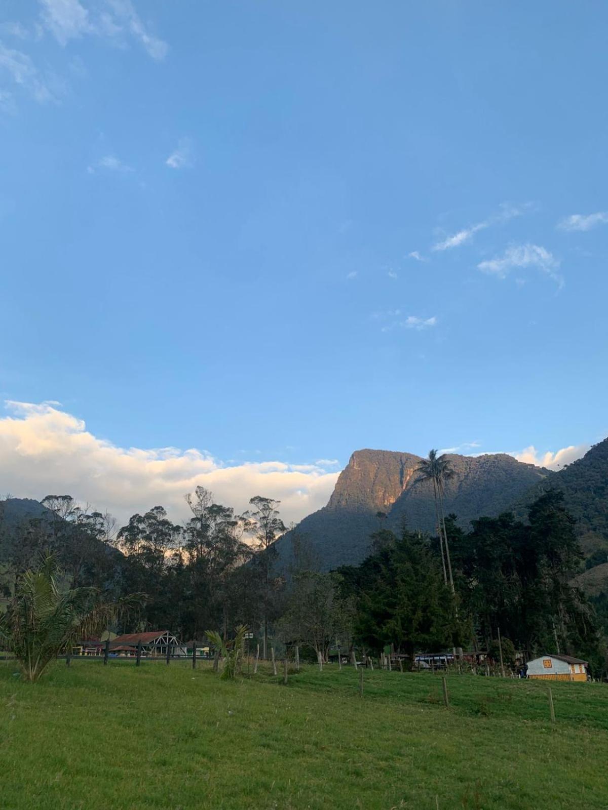 Refugio Nidos Del Condor Cocora Salento Kültér fotó